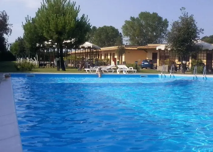 Koko 丽都迪萨维奥