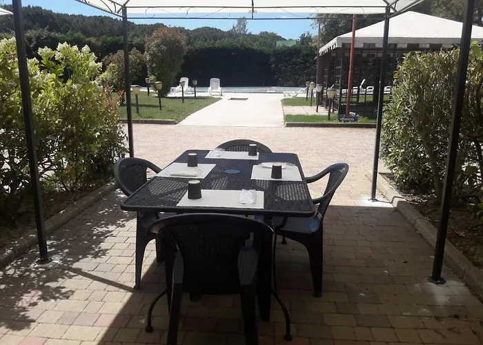 Koko 丽都迪萨维奥